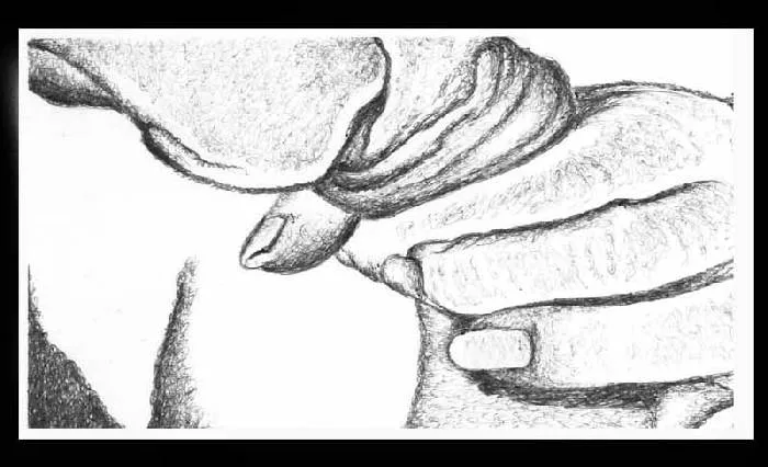 De la serie MARÍA ISABEL PLATA ROSAS - Artelista.com