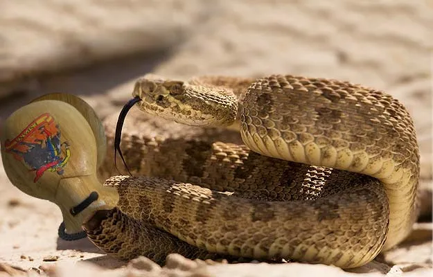 La serpiente de cascabel se pasa a las castañuelas