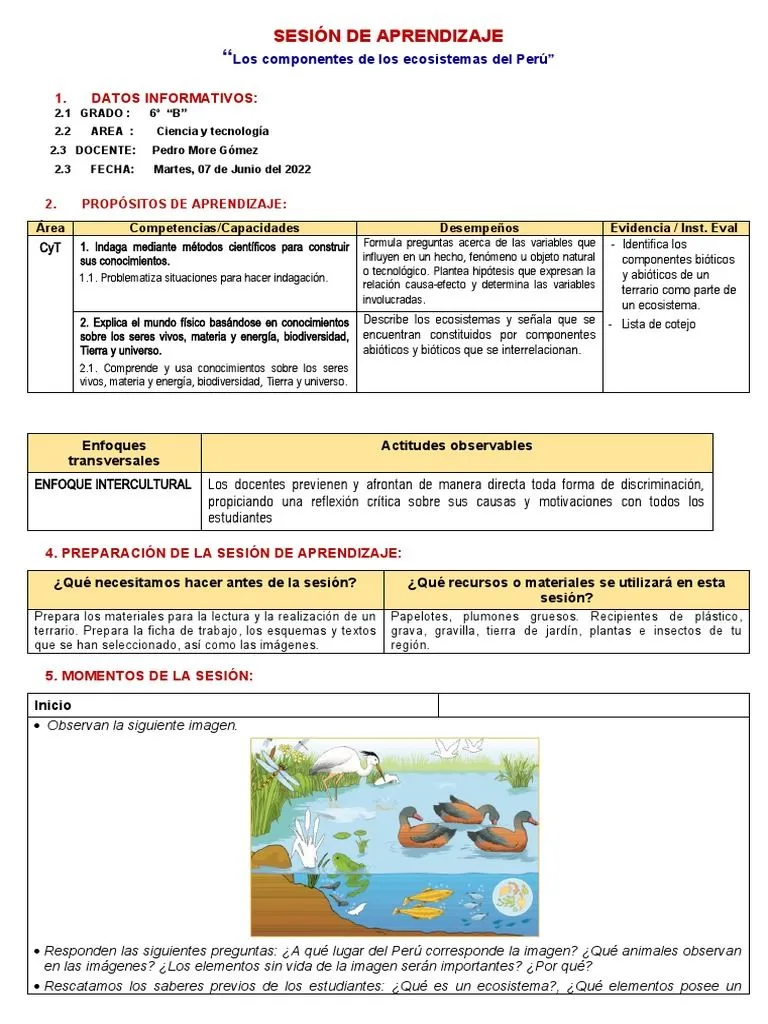 Sesion Los Componentes de Los Ecosistemas | PDF | Ecosistema | Ecología