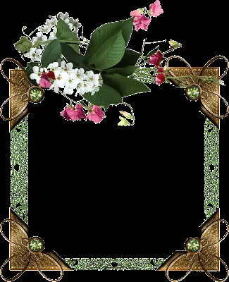 Set com 02 Molduras- cluster frames- em PNG (flores e metal) | Amanhã ...