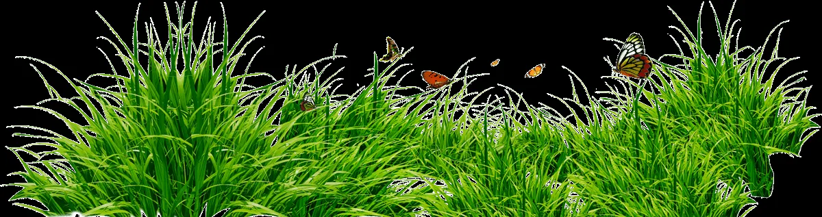 sf_itsamouseworld_icon_grass_02(2) | Wchaverri's Blog