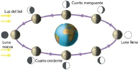 SFJ.XUNTOS - MOITOS: febrero 2011