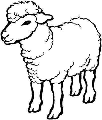 Sheep 1 coloring page | Super Coloring