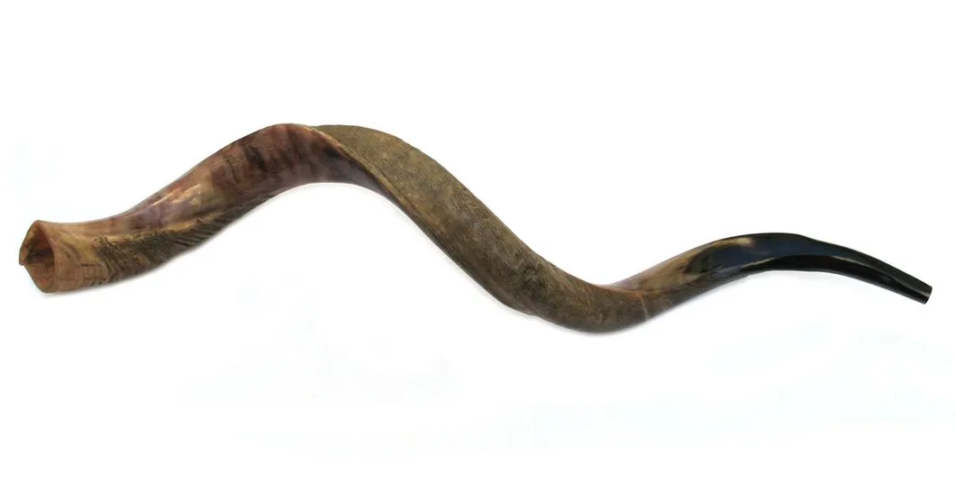 shofar.jpg