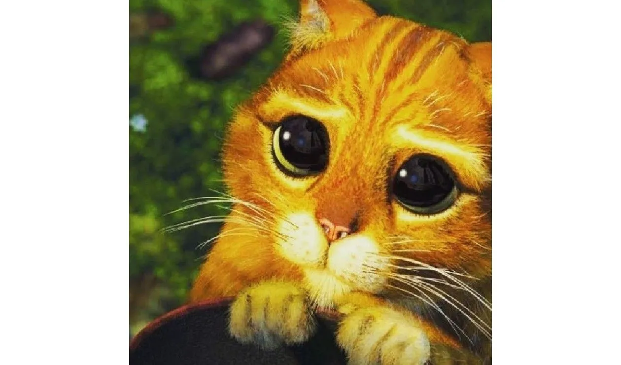 Shrek: Encuentran al gato con botas de la película en la vida real | Alerta Bogotá