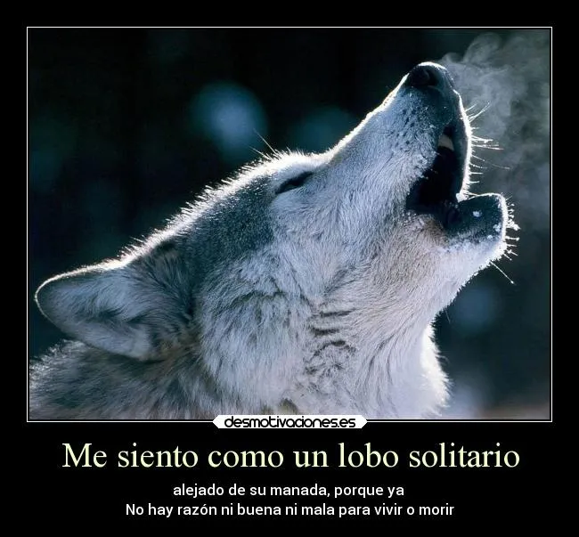 Me siento como un lobo solitario | Desmotivaciones