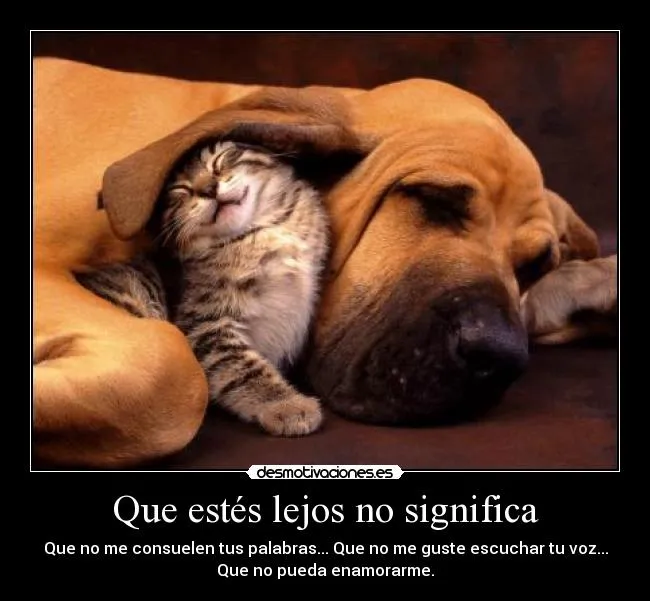 Que estés lejos no significa | Desmotivaciones