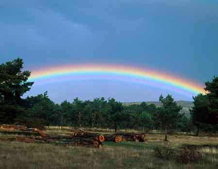 Significado de los colores del Arco Iris | Soy Esotérica