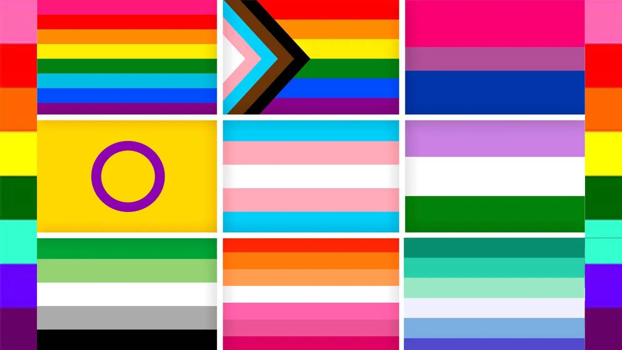 Significado y colores de todas las banderas LGBT+ - Homosensual