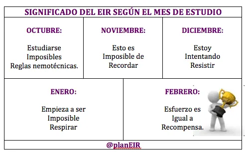 Significado de EIR según el mes de estudio | PLAN EIR