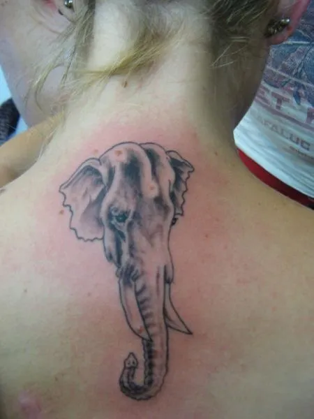 Significado del tatuaje de elefante ~ Fotos de Tatuajes