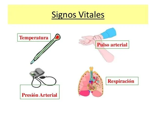 Signos vitales