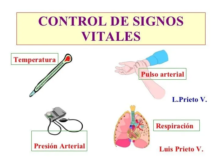 Signos Vitales