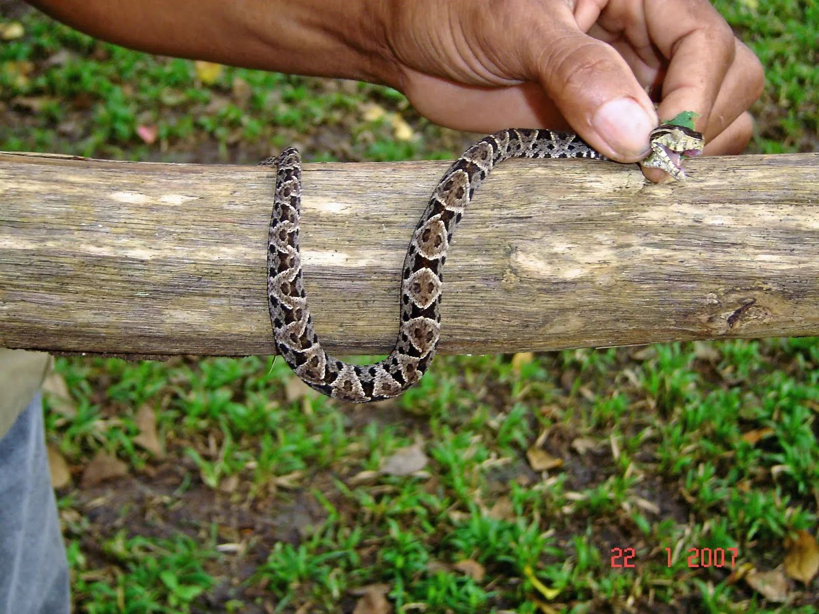 La silla chic: 2010-