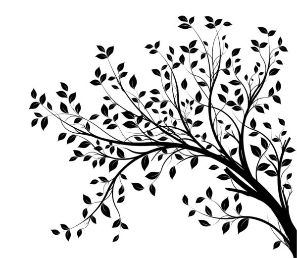 silueta vector árbol rama, negro — Vector stock © Olivier26 #