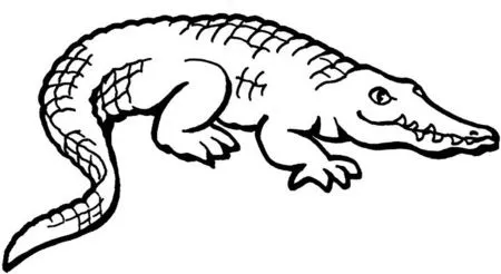 Cocodrilos para dibujar fáciles - Imagui