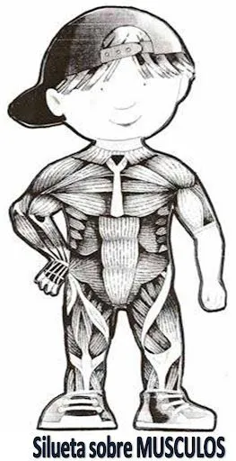 SILUETAS DEL CUERPO HUMANO FICHAS CUERPO HUMANO