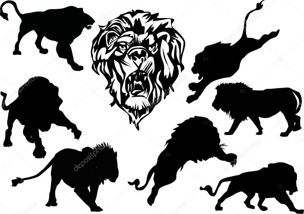 siluetas de ocho León — Vector stock © Dr.