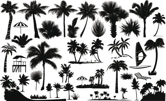 Palmeras vector free - Imagui