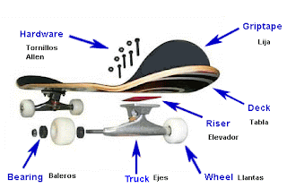 Silvestria Skate Shop: Partes de tu patineta