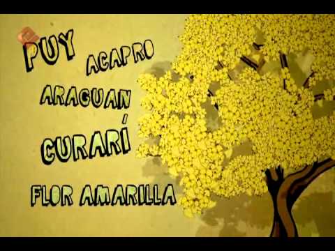 Símbolos Naturales: El Araguaney - YouTube