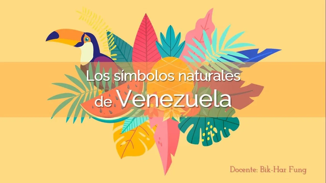 Los símbolos naturales de Venezuela - YouTube