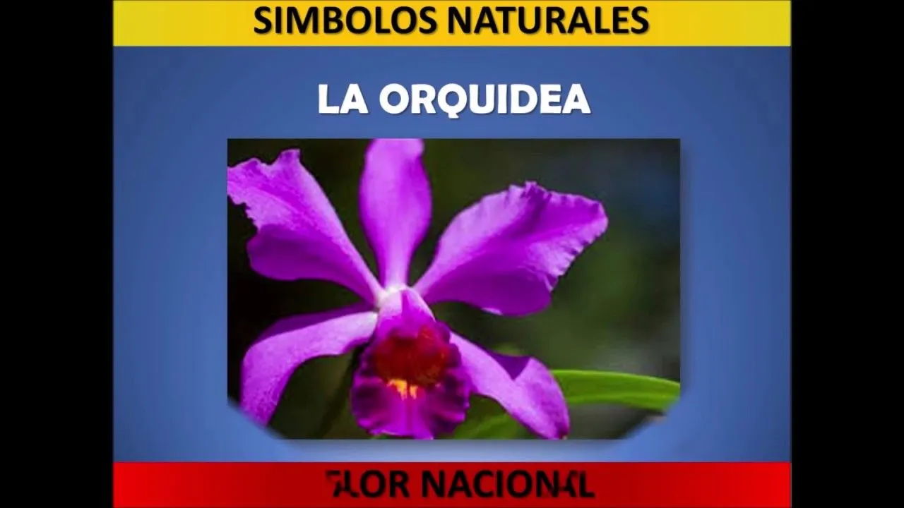 Nuestros Símbolos Patrios y Naturales. Primera Semana