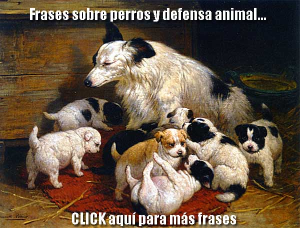 Sir Charles S. Chaplin y los animales » » www.