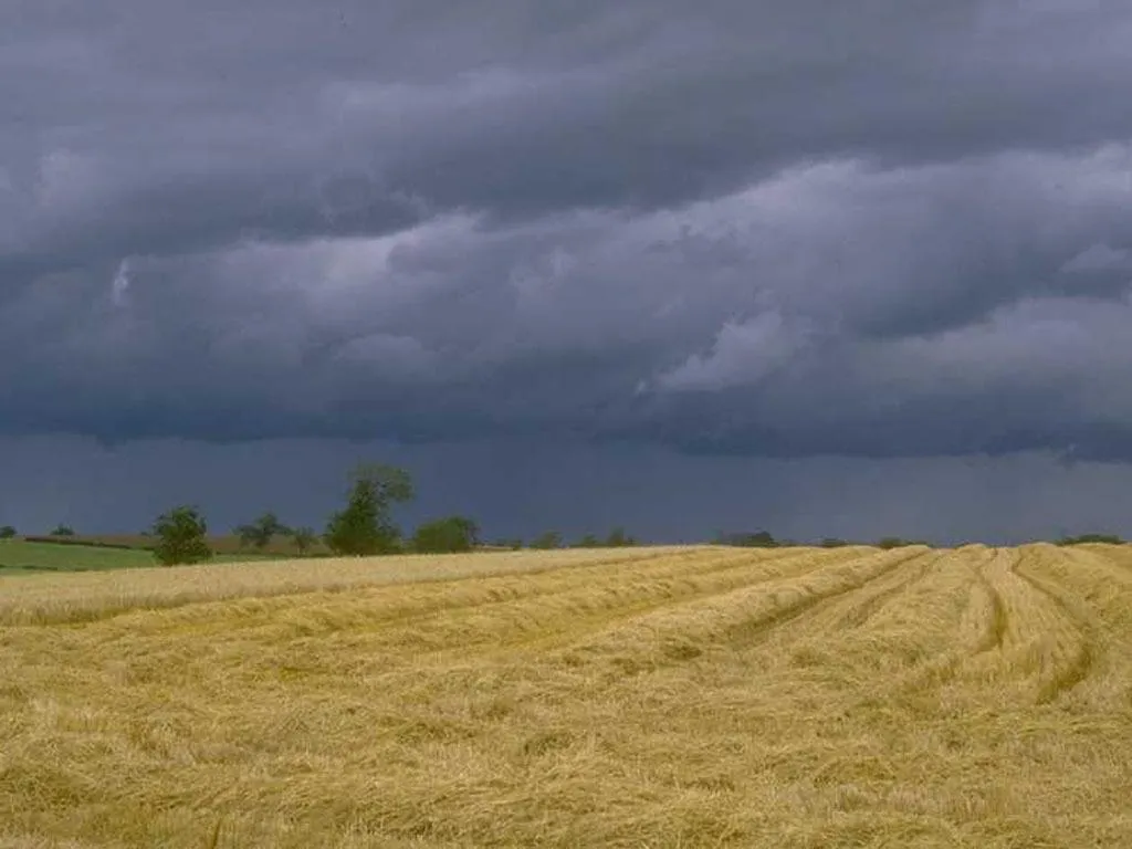 Siroco - Encuentros y amistad: Campos de Castilla