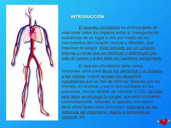 sistema-circulatorio-3-728.jpg ...