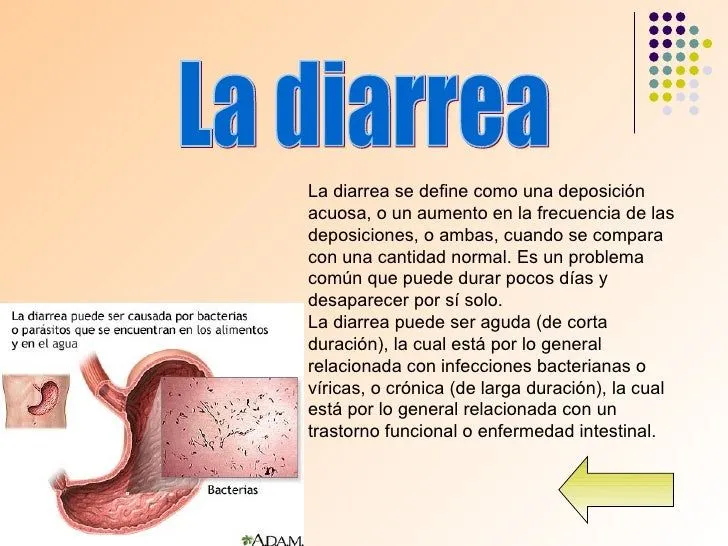 El Sistema Digestivo y sus enfermedades