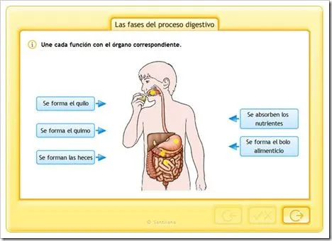 EL SISTEMA DIGESTIVO | JUGANDO Y APRENDIENDO