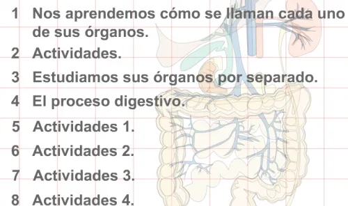 SISTEMA DIXESTIVO | JUGANDO Y APRENDIENDO