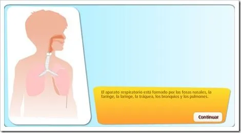 SISTEMA RESPIRATORIO | JUGANDO Y APRENDIENDO