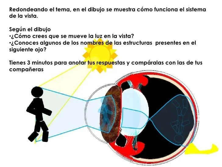 El Sistema de la Vista