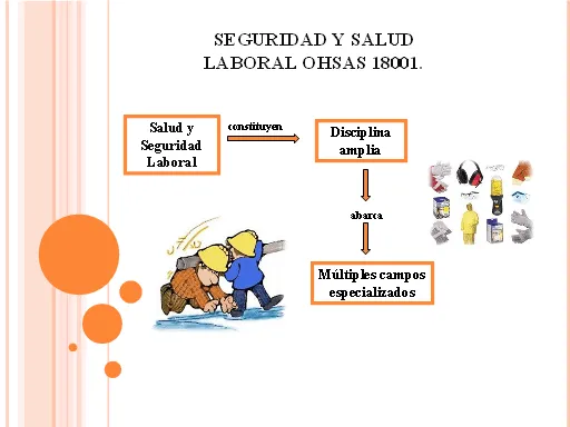 Sistemas de gestión seguridad y salud ocupacional (OHSAS 18000 ...