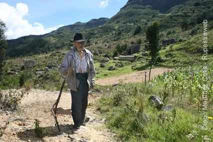 Sitio con arte rupestre Gestión Patrimonio Cultural Arqueológico ...