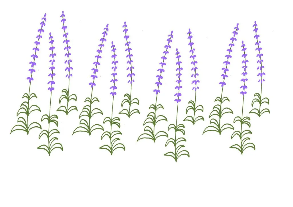 siusi-cor: barrados de flor , para estampar e bordar sobre o desenho