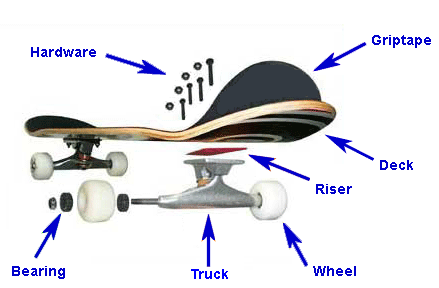 skate: vestimenta