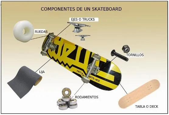 Skateboards "Patinetas": Todo sobre el skateboards "