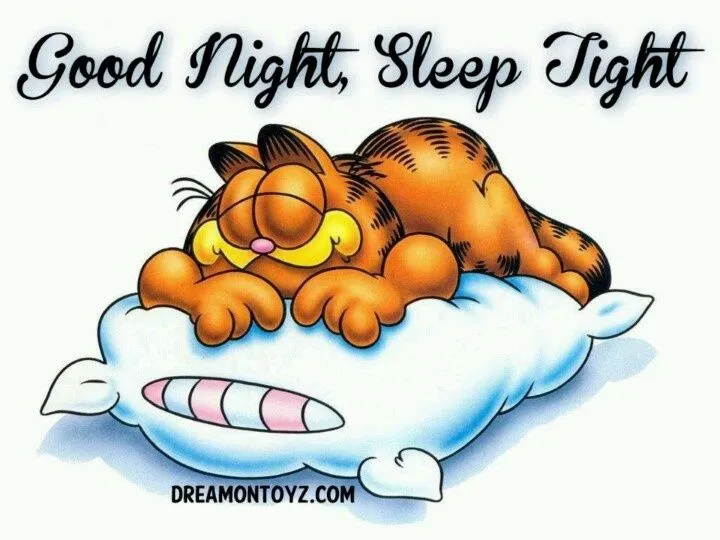 Sleep tight | Garfield | Pinterest | Sleep Tight and Sleep