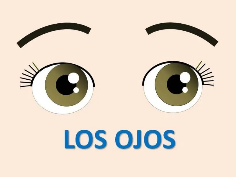 Slideshow: LAS PARTES DEL CUERPO (lengua - Transición - Preescolar - partes  del cuerpo - cabeza - la cancion del cuerpo - manos - nariz)