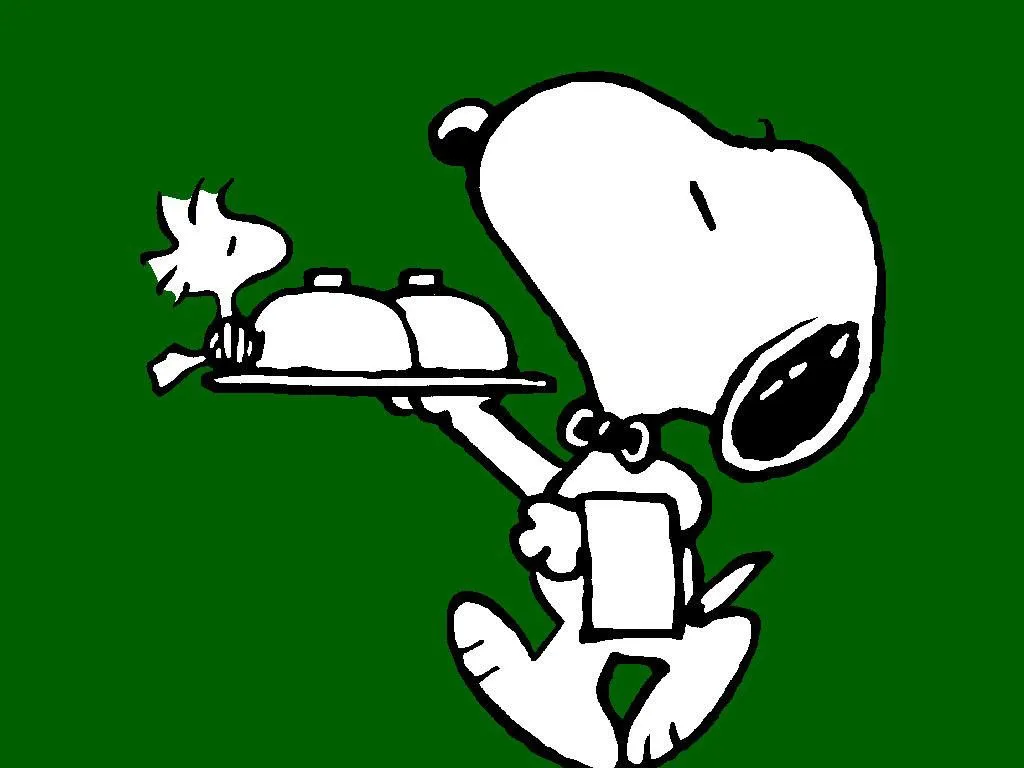 Snoopy 17 Fondos de Pantalla - Imágenes Para Compartir SaGiTaRioXP