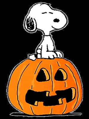 Snoopy Halloween 7 | Snoopy