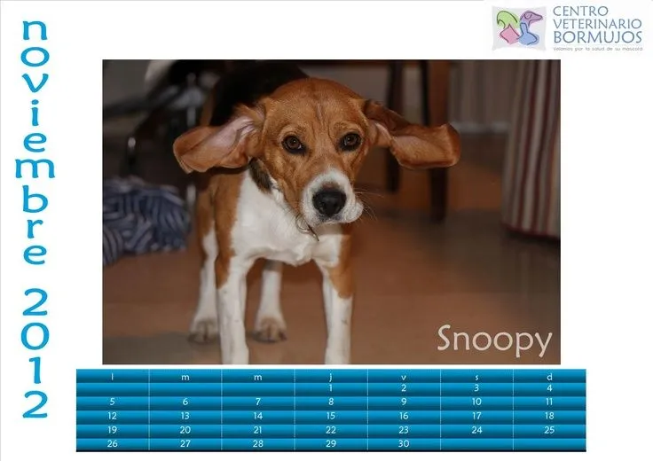 Snoopy en noviembre | Calendario 2012 | Pinterest