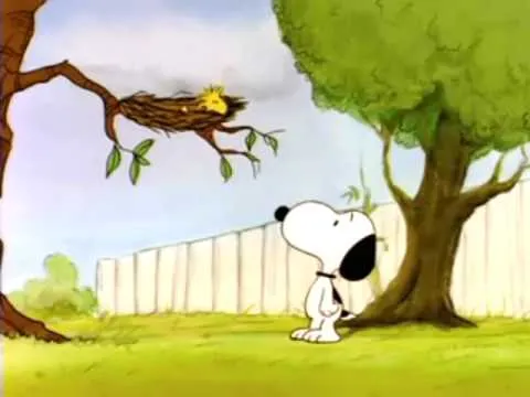 Snoopy und Woodstock - Snoopy video - Fanpop