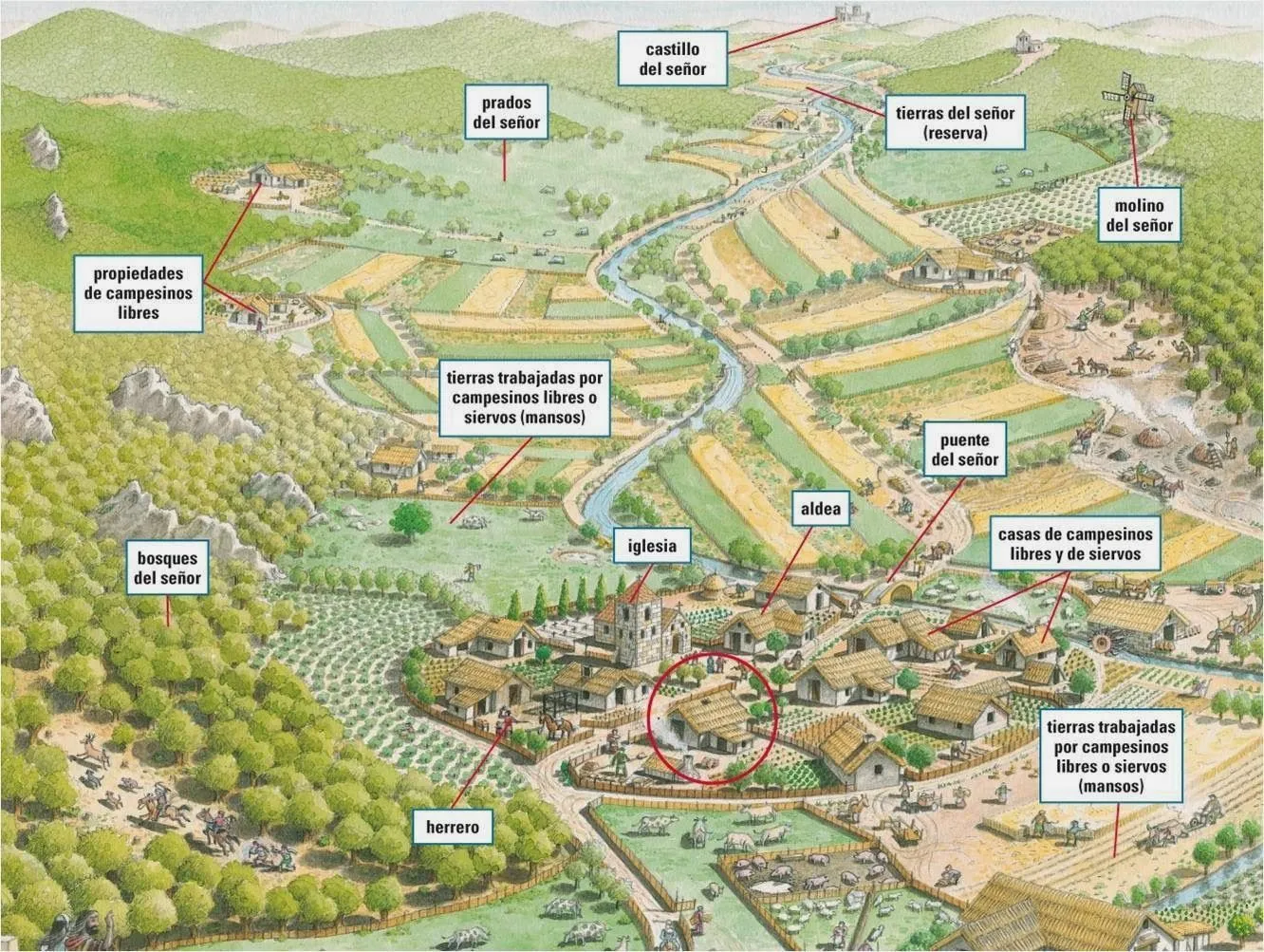 LA SOCIEDAD FEUDAL: EL CLERO: ORA ET LABORA Los monasterios y obispados  constituían grandes seño… | Edad media, Alta edad media, Ciencias sociales