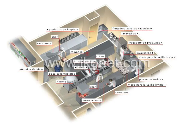 sociedad > ciudad > restaurante > cocina imagen - Diccionario Visual