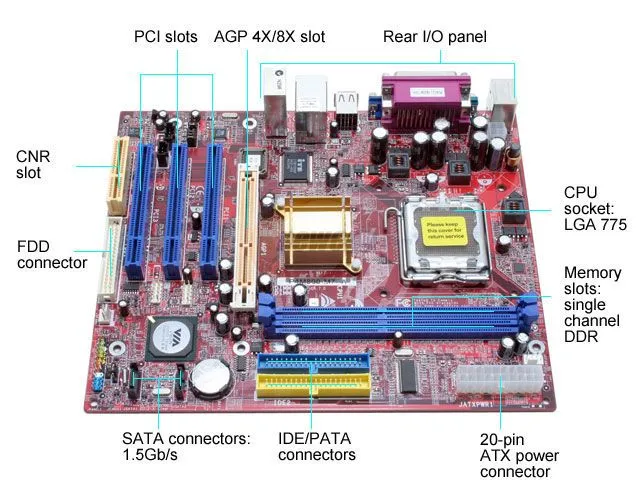 software of sena: PARTES INTERIORES