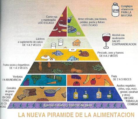 Piramide alimenticia explicacion - Imagui